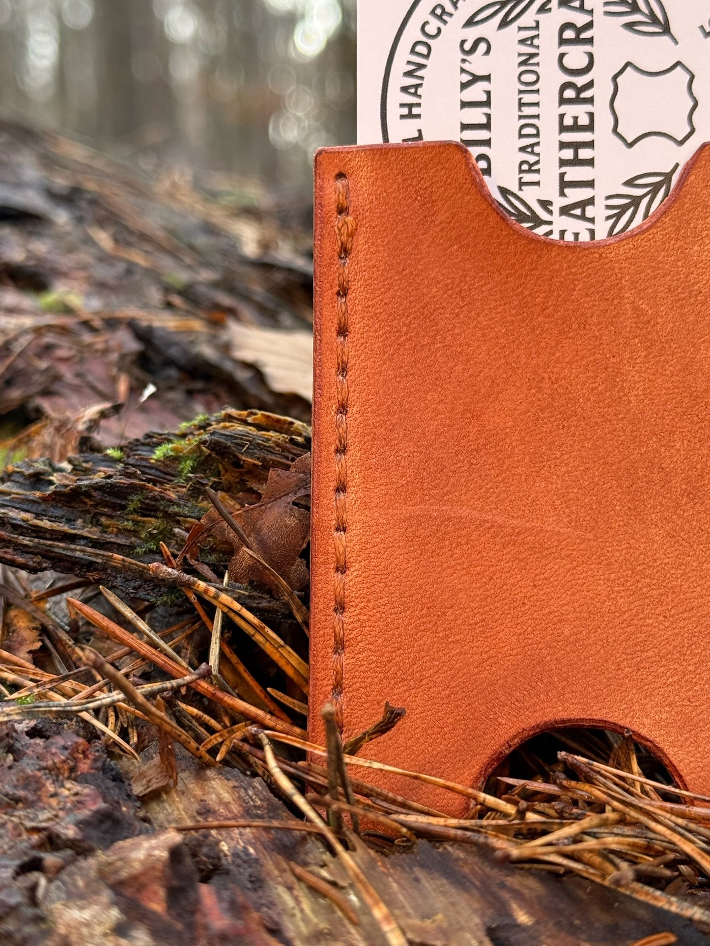 Cardholder "Money Safer"