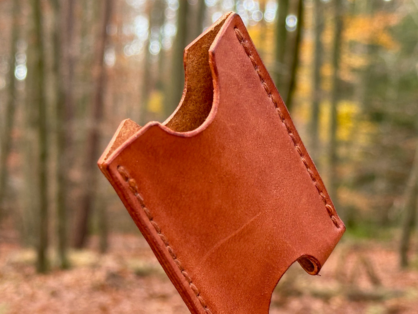 Cardholder "Money Safer"